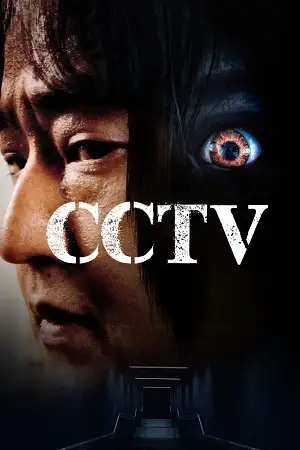 cctv 2021