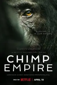chimp empire 2023