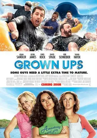grown ups 2010