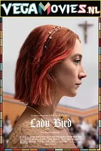 lady bird 2017
