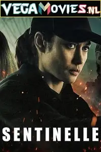 netflix sentinelle 2021
