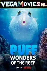 puff wonders of the reef 2021