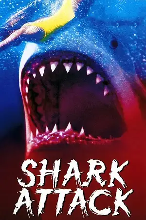 shark attack 1999