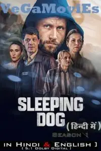sleeping dog netflix original 2023